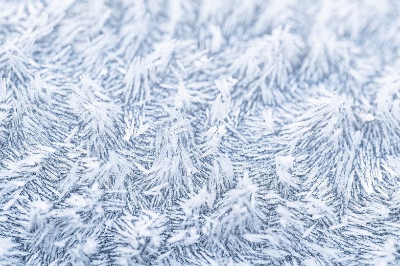 Die Magie des Frosts, abstrakter Winterfrost aus nächster Nähe von Christiaan Poot