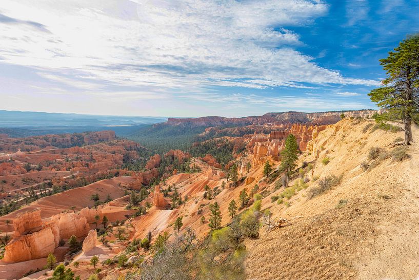 Bryce Canyon National Park, panorama photo by Gert Hilbink