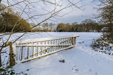 Een witte wereld, sporen van leven.