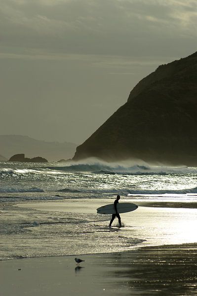 Surfer bei Sonnenuntergang von Jeroen van Deel