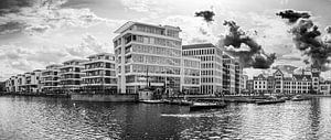 Phoenixsee