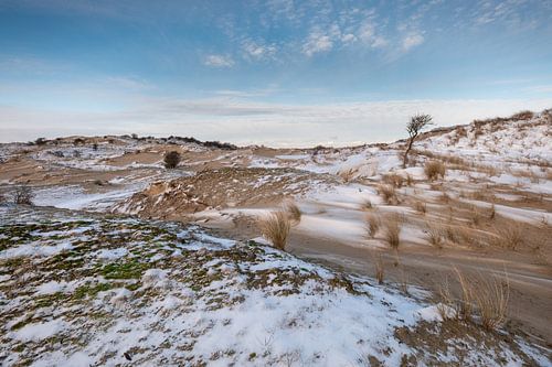 Amsterdamse Waterleiding Duinen