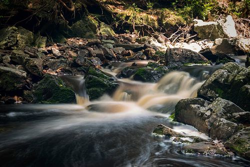 Vallée de la Hoëgne, Ardennen (België)