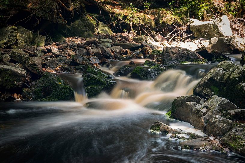 Vallée de la Hoëgne, Ardennen (België) van Carola Schellekens