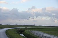 Paysage Texel 066
