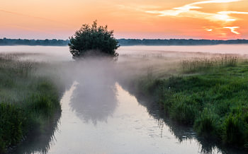 Brouillard matinal