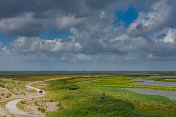 Uitzicht uitkijktoren Steltloper op de Marker Wadden