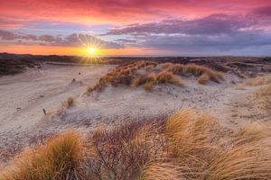 Belle soirée rouge dans le parc Westduin près de Kijkduin, La Haye