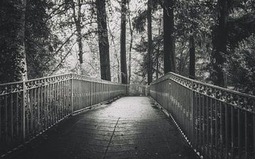 Een brug in het bos in het mooie Inverness, Schotland. van Jakob Baranowski - Photography - Video - Photoshop