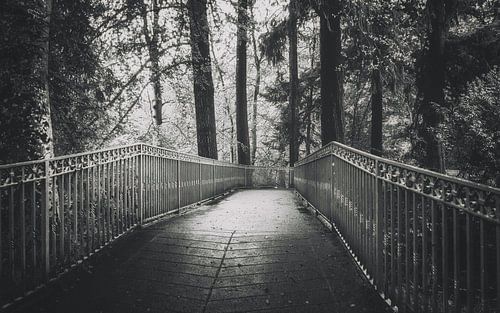 Een brug in het bos in het mooie Inverness, Schotland.