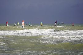Windsurfers by Irina Landman