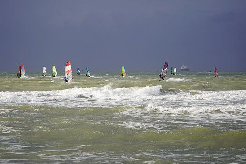 Windsurfers