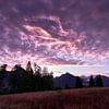 Violette zonsopgang van Max Schiefele