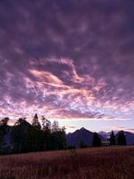 Violette zonsopgang