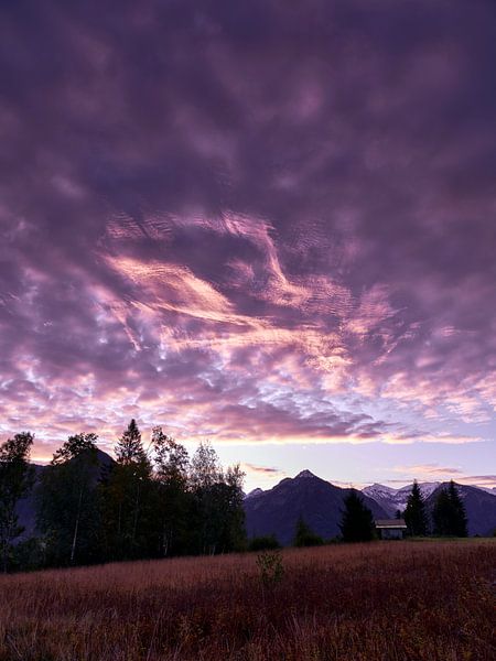 Violet sunrise von Max Schiefele