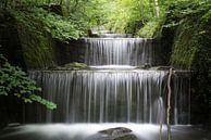 Waterval in een bos in Zwitserland van Nic Limper thumbnail