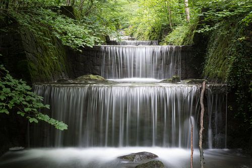 Wasserfall in einem Wald in der Schweiz