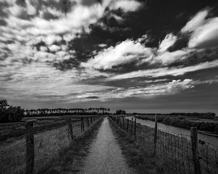 Landschap 16 by Domenique van der Horst