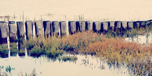 Op de Waddenzee nr. 6-P