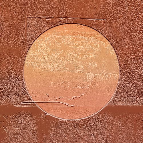 Moderne Japandi zon abstractie in lichte aardkleuren