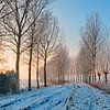 Winterlandschap in Brabant van Paula van der Horst