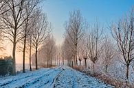 Winterlandschap in Brabant van Paula van der Horst thumbnail