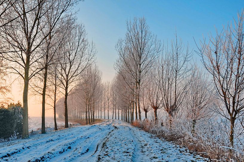 Winterlandschap in Brabant van Paula van der Horst