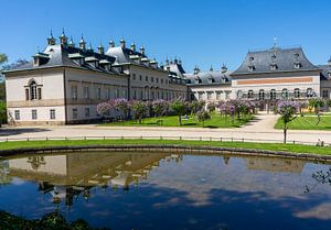 Blick auf das Schloss Pillnitz in Dresden Sachsen mit Schlossteich