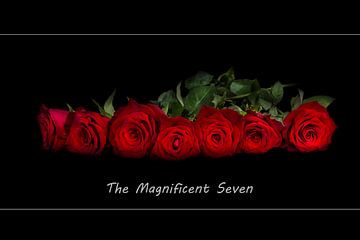 The magnificent seven van Herbert Seiffert