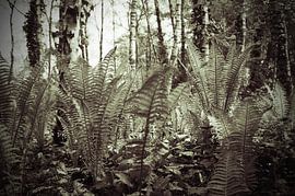 Green awakening in citypark by Anne Hana