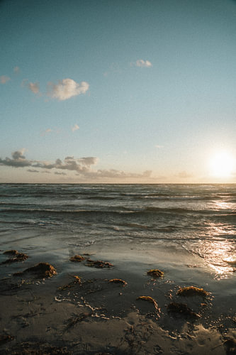 Die Küste in Dänemark