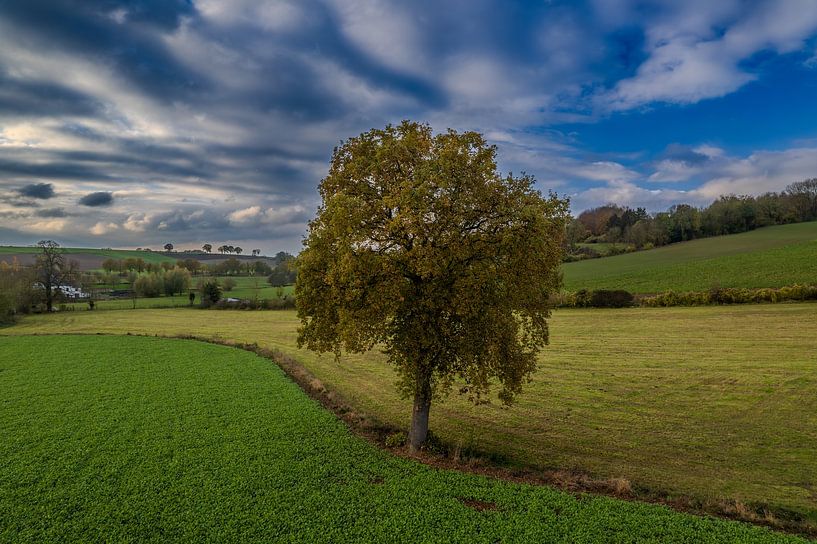 Südlimburger Landschaft in Herbstfarben von MSP Canvas
