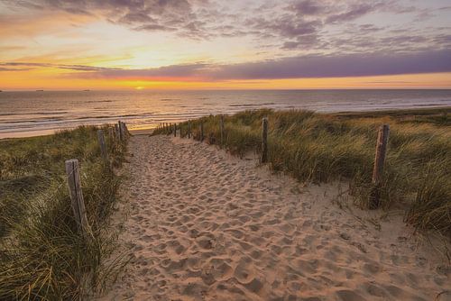 Strand, zee en zon aan de Hollandse kust