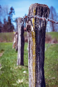 Poteau de clôture sur D.R.Fotografie