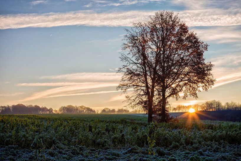 Landscape at sunrise by Carola Schellekens