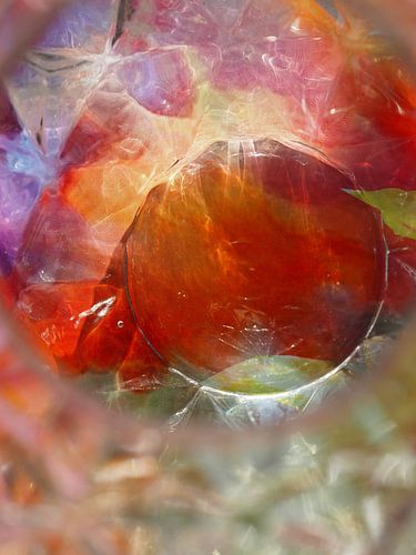 APPAREIL PHOTO NUMÉRIQUE OLYMPUS