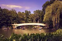 Brug in Central Park, New York City