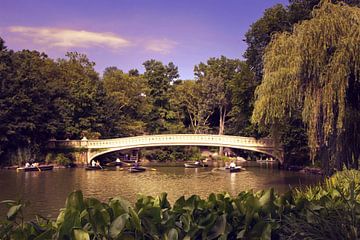 Pont dans Central Park, New York City sur Tobias Majewski