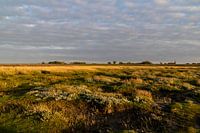 Natuurreservaat Peazemerlannen