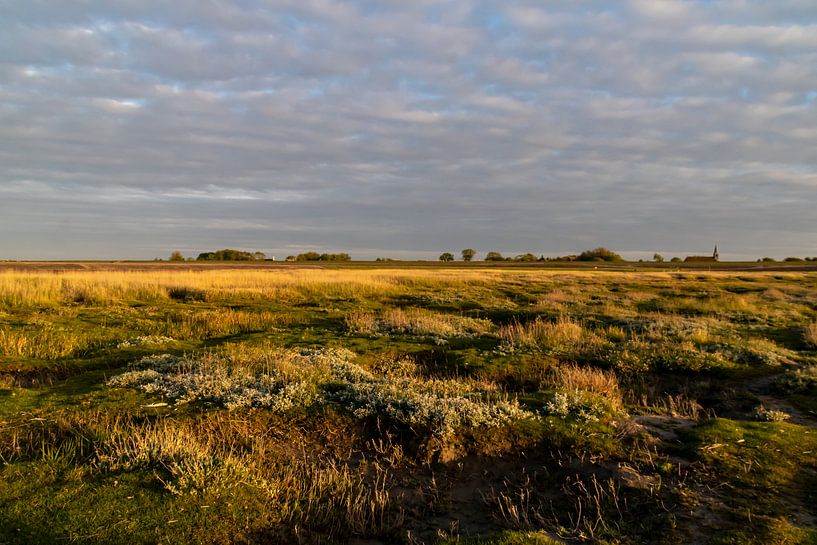 Peazemerlan Nature Reserve by Paul Veen