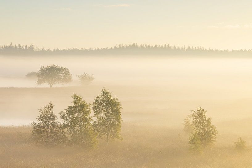 Foggy sunrise Duurswouderheide (Netherlands) by Marcel Kerdijk