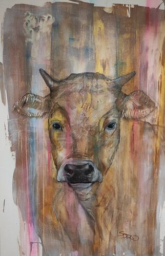 KUH ELSA / SCHWARZWALD / SDAW