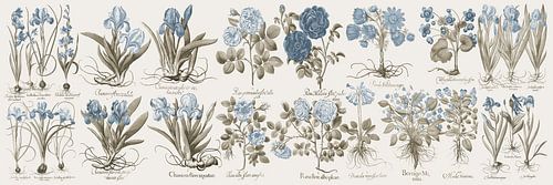 Botanical Wall Art,Blauwgrijze bloemen II