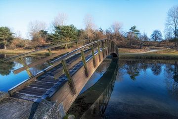 Brücke in der "Amsterdamse Waterleidingduinen" von Peter Bartelings