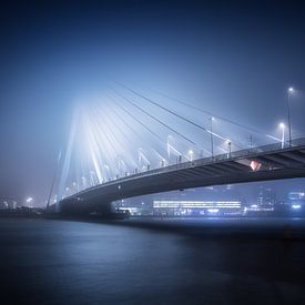 Veiled Swan - Avondopname van de Erasmusbrug Rotterdam in de Mist van Niels Dam