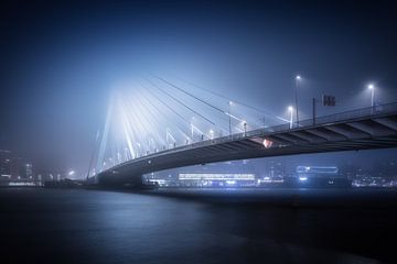 Veiled Swan - Avondopname van de Erasmusbrug Rotterdam in de Mist van Niels Dam