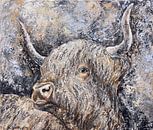 Highland cow van Christian Carrette thumbnail