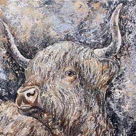 Highland cow van Christian Carrette