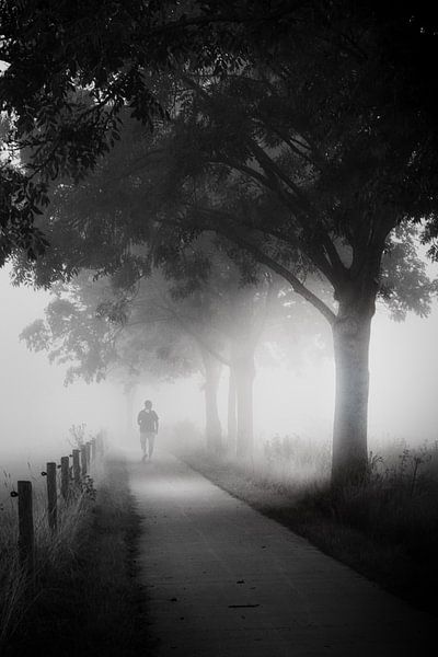 Ein Spaziergang im Nebel von Jaimy Leemburg Fotografie