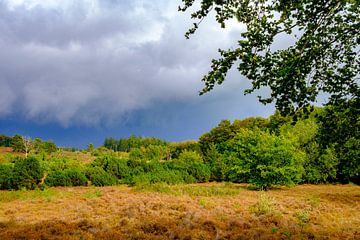 Nuages d'orage au-dessus d'une lande et d'une forêt sur le Lemelerberg sur Sjoerd van der Wal Photographie